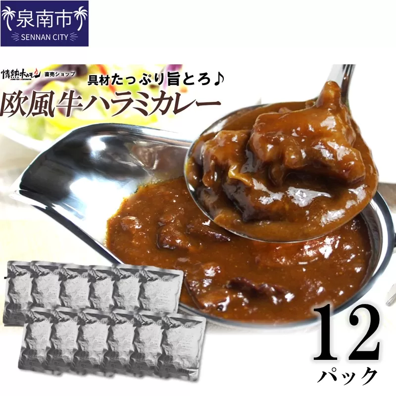 欧風牛ハラミカレー（200g×12パック）【配送不可地域：北海道・沖縄】【069D-013】