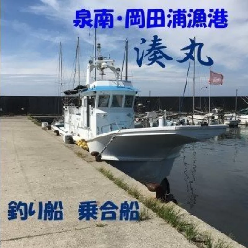 【泉南・岡田浦漁港】釣り船 湊丸 午前便・午後便 1名様【049D-002】