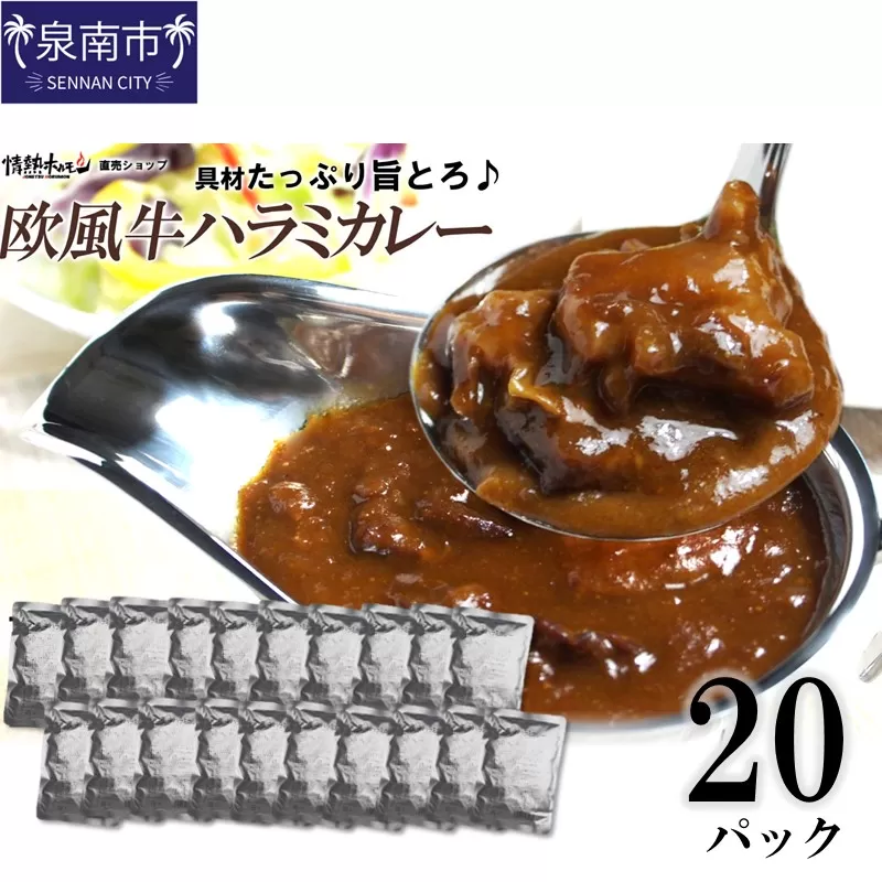 欧風牛ハラミカレー（200g×20パック）【配送不可地域：北海道・沖縄】【069C-001】