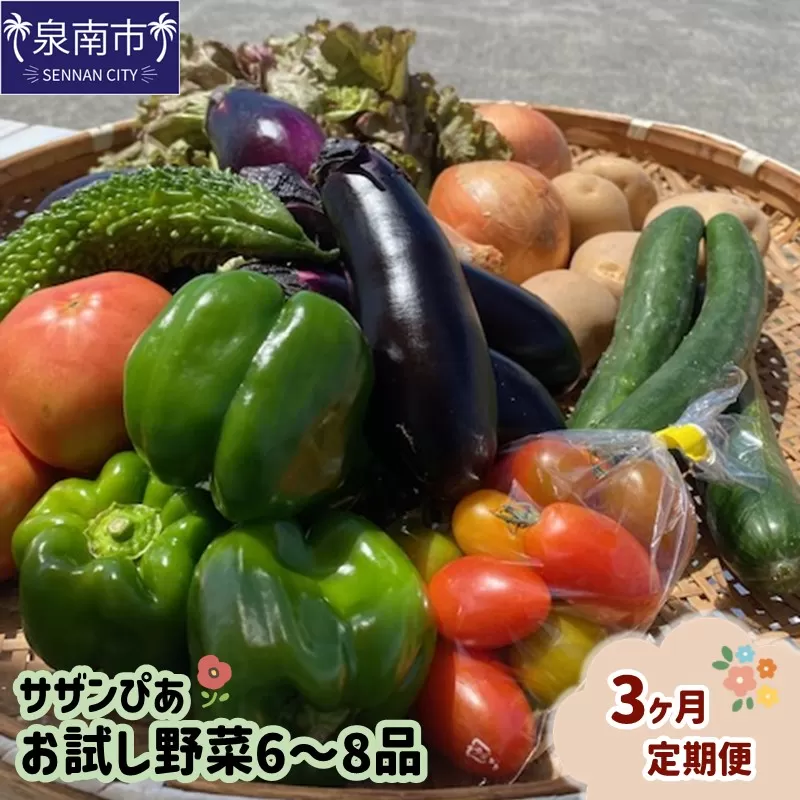 サザンぴあ お試し野菜6～8品 3ヶ月定期便【015B-002】