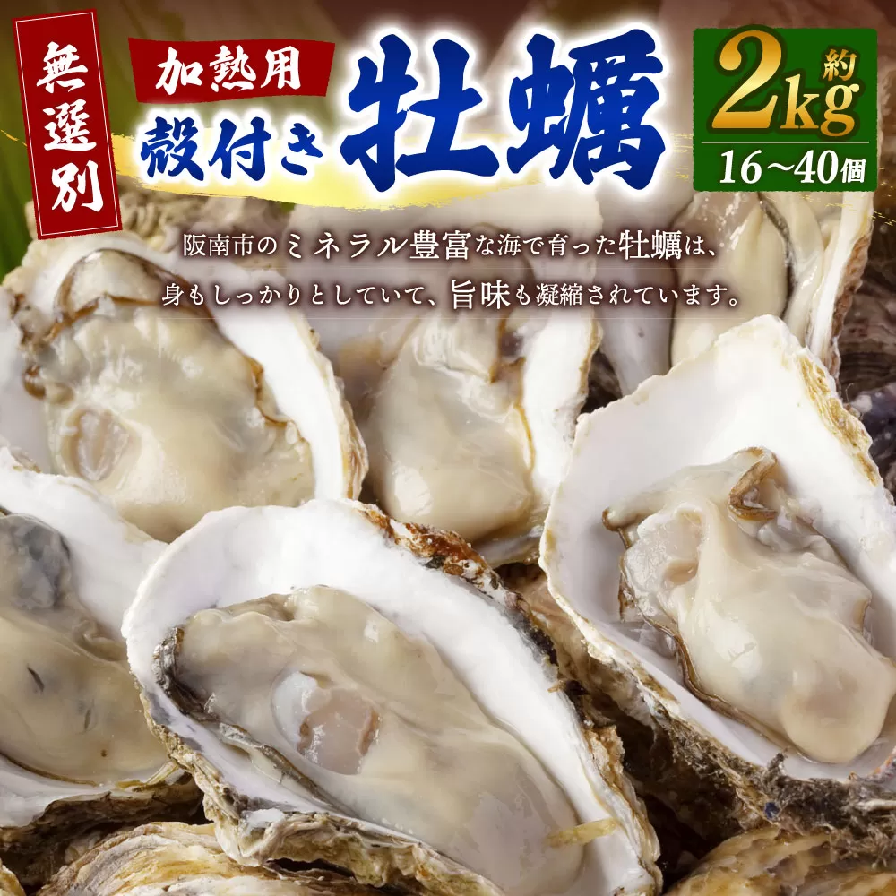 【無選別】加熱用 殻付き牡蠣 約2kg（16～40個）【2025年1月下旬～2025年3月下旬発送予定】／牡蠣 かき カキ 生ガキ 生牡蠣 加熱用 調理用