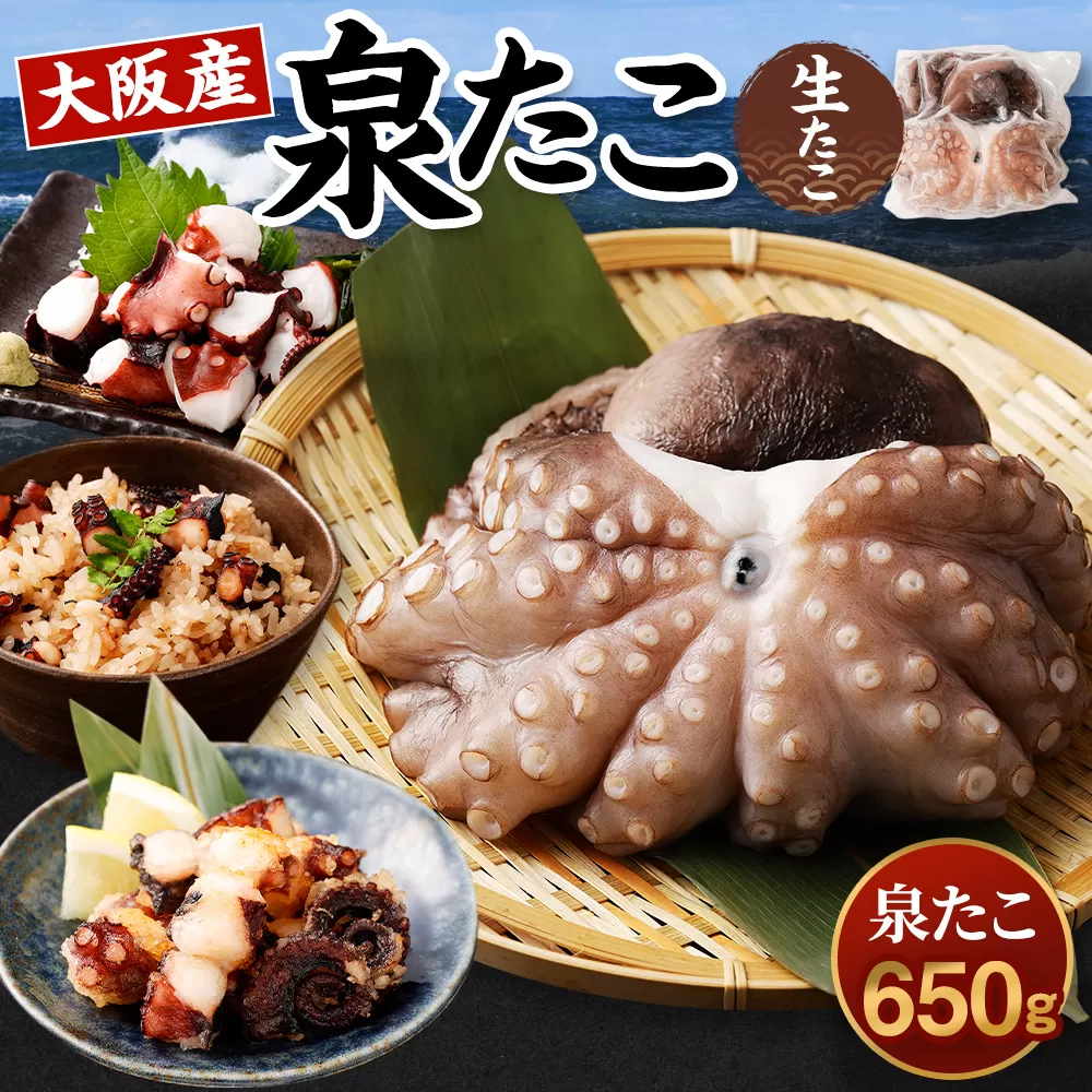 大阪産 泉タコ （生たこ） 650g （1杯〜3杯）×1袋 魚介類 海鮮 タコ たこ 真蛸 スミ抜き 塩もみ処理 下処理済み 簡単調理 冷凍