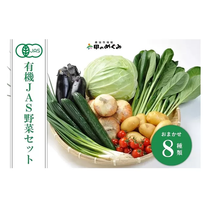 有機JAS野菜セット(8種類)