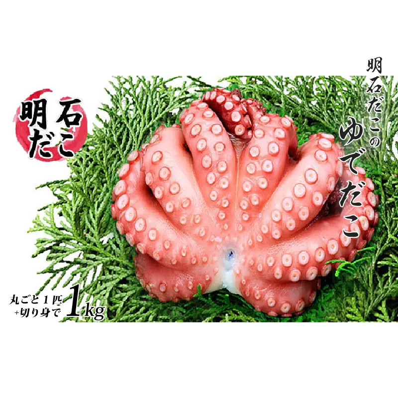 明石だこのゆでだこ　丸ごと1匹と切り身で1kg