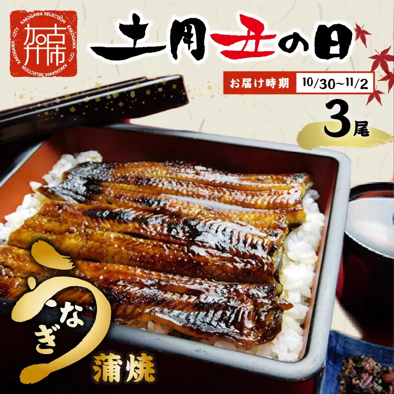 【土用の丑の日】鰻の蒲焼き3尾(6パック)たれ別・挽きたて粉山椒付《うなぎ 鰻 蒲焼 蒲焼き 3尾 タレ ひつまぶし 送料無料》【2403D05601_01】