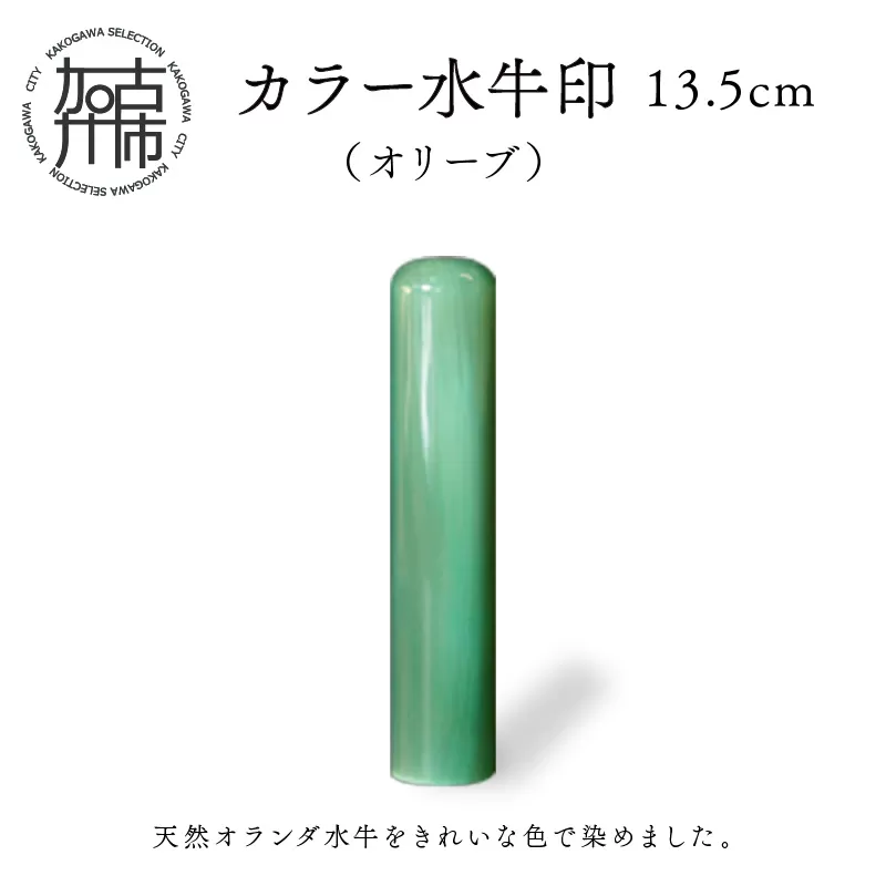 カラー水牛印【天然オランダ水牛】(オリーブ)13.5mm【2407S09806】