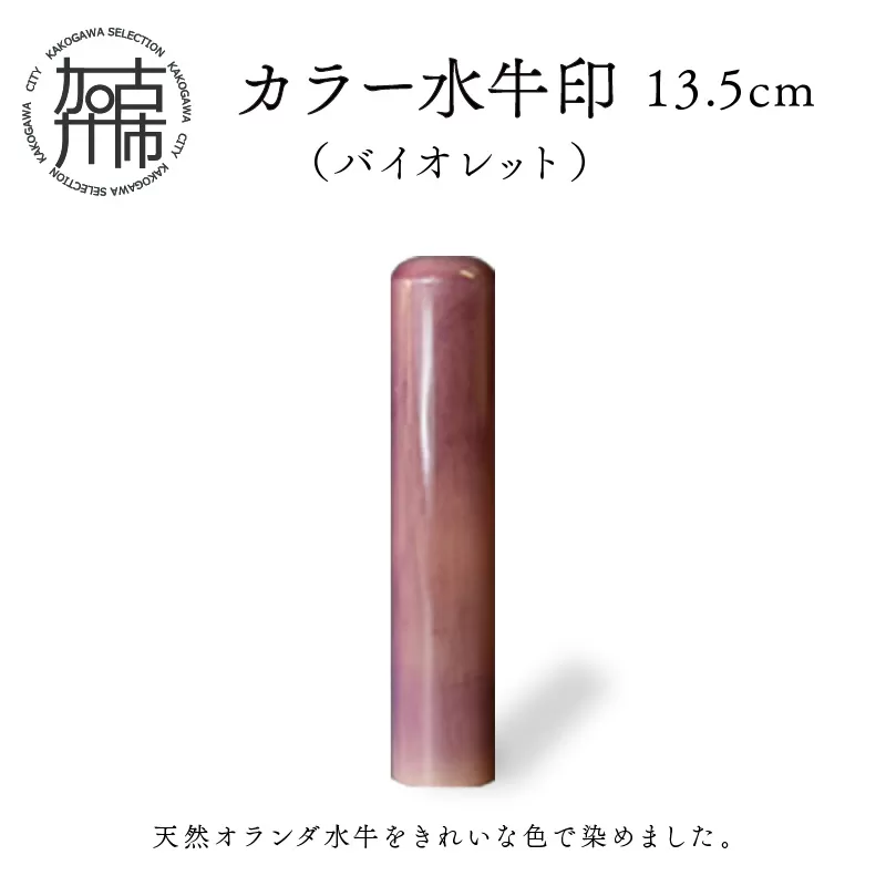 カラー水牛印【天然オランダ水牛】(バイオレット)13.5mm【2407S09805】