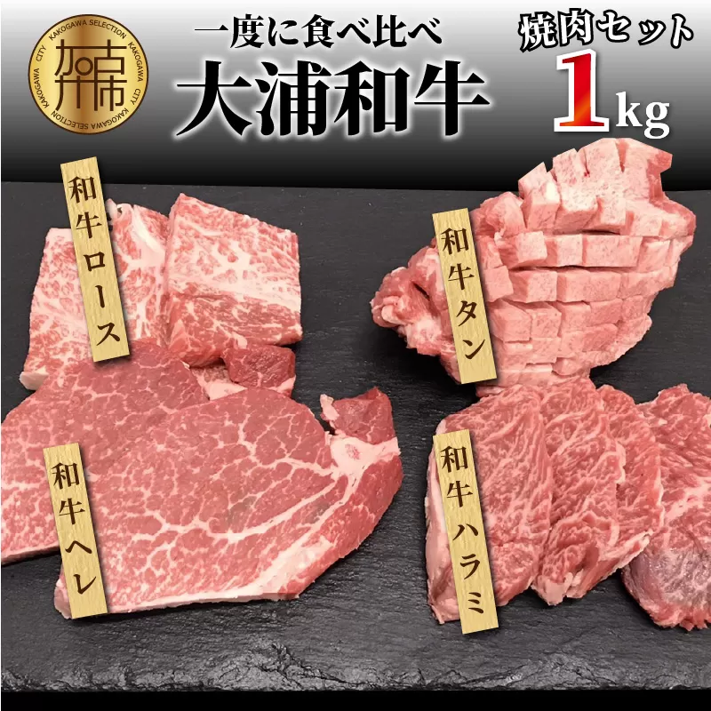 大浦和牛焼肉セット（1kg）【2405A00206】