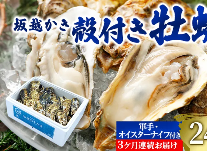  定期便 牡蠣 坂越かき 殻付き牡蠣 24個 オイスターナイフ付き【3ヵ月連続お届け】[ 生牡蠣 かき カキ 殻付 生食 冬牡蠣 ]