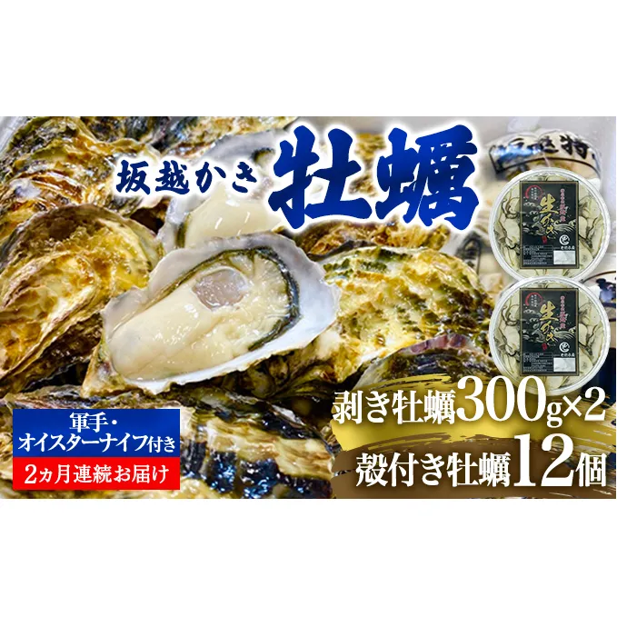  定期便 牡蠣 坂越かき 剥き牡蠣 300g×2、殻付き牡蠣 12個 オイスターナイフ付き【2ヵ月連続お届け】[ 生牡蠣 かき カキ 生食 冬牡蠣 ]