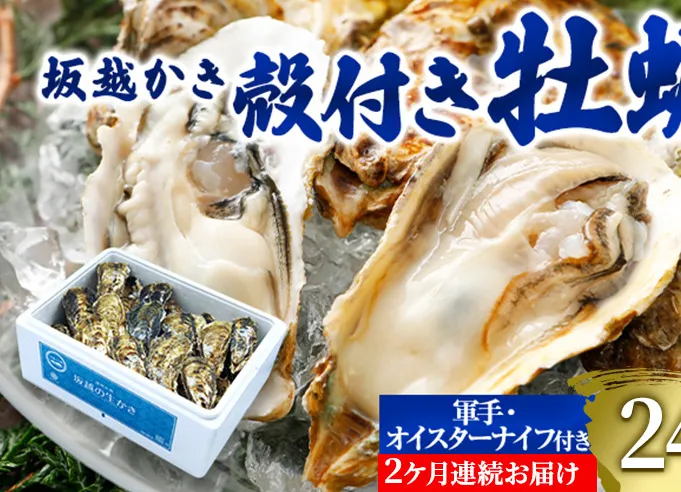  定期便 牡蠣 坂越かき 殻付き牡蠣 24個 オイスターナイフ付き【2ヵ月連続お届け】[ 生牡蠣 かき カキ 殻付 生食 冬牡蠣 ]