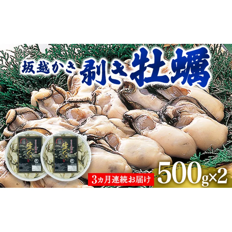  定期便 牡蠣 坂越かき 剥き牡蠣 500g×2【3ヵ月連続お届け】[ 生牡蠣 かき カキ むき身 剥き身 生食 冬牡蠣 ]