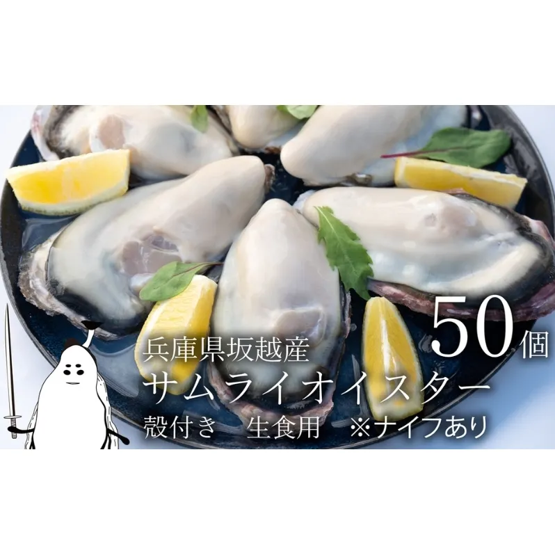 牡蠣 生食 坂越かき 殻付き 50個(牡蠣ナイフ・軍手付き)サムライオイスター 生牡蠣 冬牡蠣