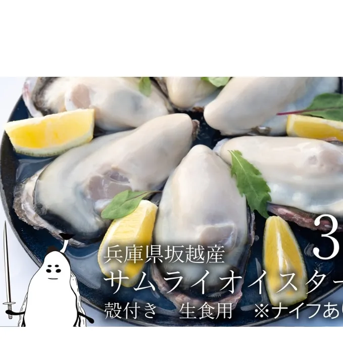牡蠣 生食 坂越かき 殻付き 30個(牡蠣ナイフ・軍手付き)サムライオイスター 生牡蠣 冬牡蠣