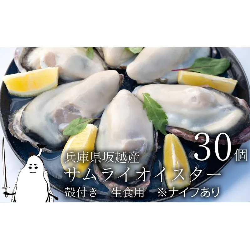 牡蠣 生食 坂越かき 殻付き 30個(牡蠣ナイフ・軍手付き)サムライオイスター 生牡蠣 冬牡蠣