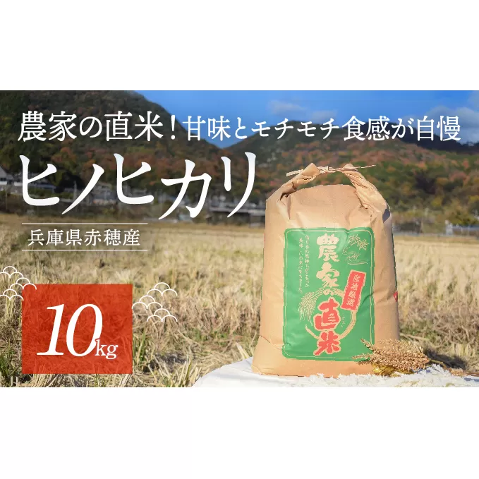 2024年10月下旬から発送【令和6年産】農家の直米！甘味とモチモチ食感が自慢の『赤穂市産ヒノヒカリ』(10kg)