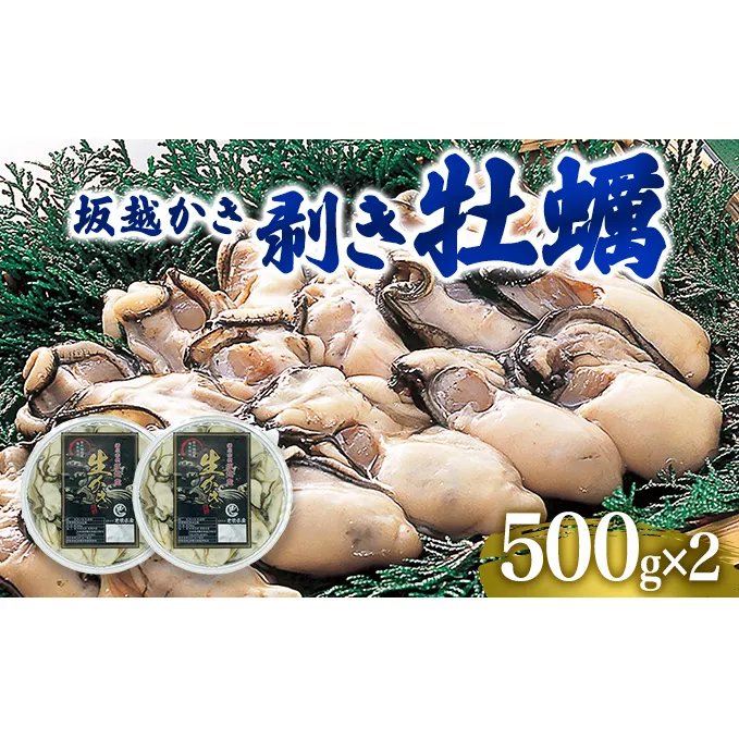  牡蠣 坂越かき 剥き牡蠣 500g×2[ 生牡蠣 かき カキ むき身 剥き身 生食 冬牡蠣 ]