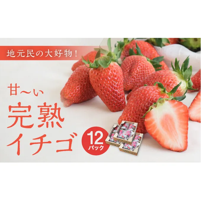 地元民の大好物「ありなしファーム」の甘～い完熟イチゴ(12パック)