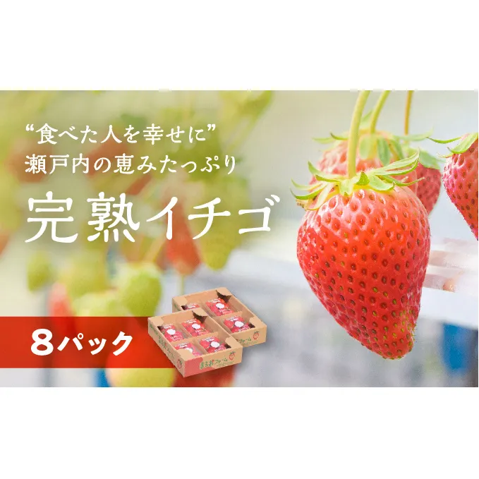 【2024年2月上旬より出荷】“食べた人を幸せに” 瀬戸内の恵みたっぷり完熟イチゴ (8パック)