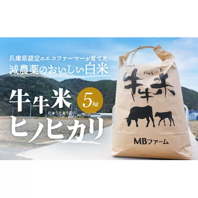 兵庫県認定のエコファーマーが育てた減農薬のおいしい白米『牛牛米 ヒノヒカリ』(5kg)  【令和６年度産】