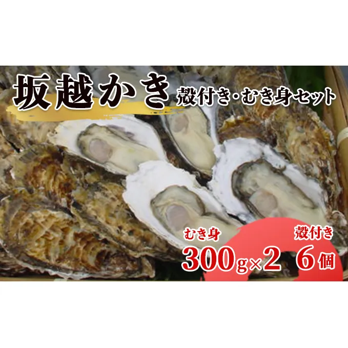 【2025年1月中旬から出荷】坂越かき 殻付き6個・むき身 (300g×2)セット（北海道・沖縄・離島への配送不可）[ 牡蠣 冬牡蠣 ]