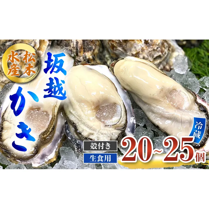 牡蠣 生食用 坂越かき 殻付き 20～25個 松本水産 [ 生牡蠣 真牡蠣 かき カキ 冬牡蠣 ]