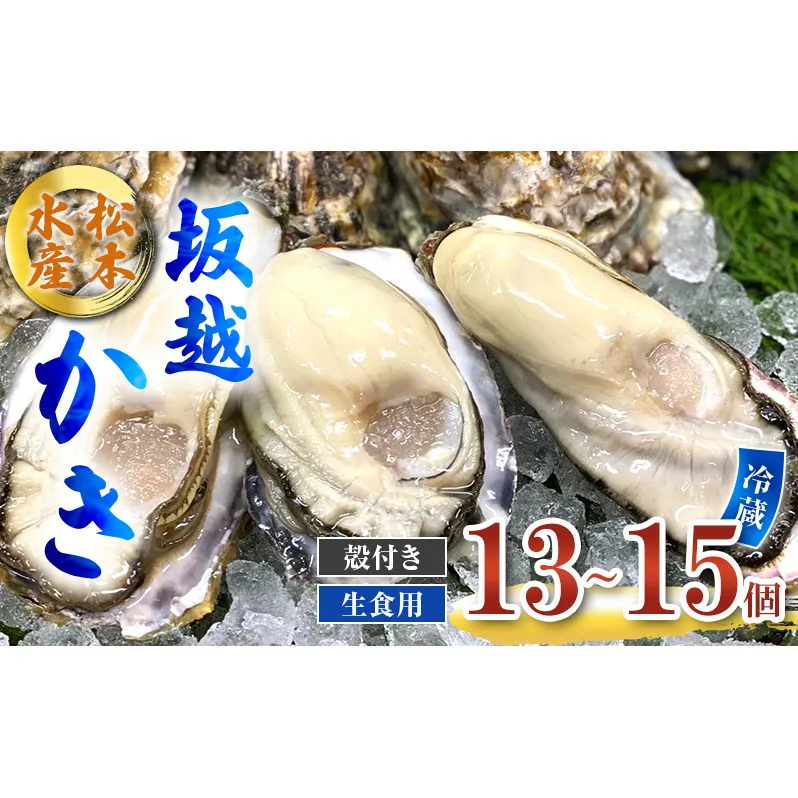 牡蠣 生食用 お試し 坂越かき 殻付き 13～15個 松本水産 [ 生牡蠣 真牡蠣 かき カキ 一人暮し 冬牡蠣 ]