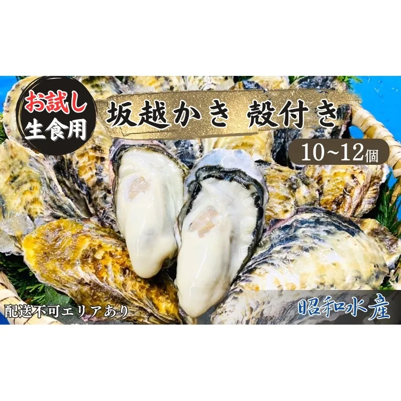 牡蠣 生食用 お試し 坂越かき 殻付き 10～12個 成林水産 [ 生牡蠣 真牡蠣 かき カキ 一人暮し 冬牡蠣 ]