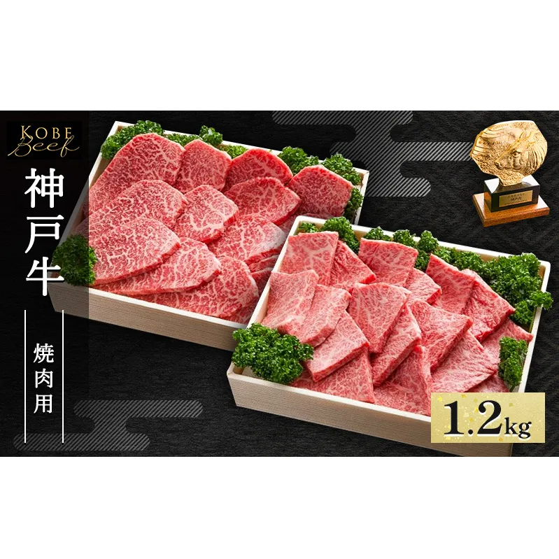 神戸牛 焼肉用 セット 計1.2kg AKYS5[ 肉 牛肉 神戸ビーフ かたロース ロース かた もも バーベキュー キャンプ アウトドア ]