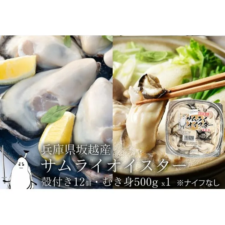 牡蠣 生食 坂越かき むき身 500g×1、 殻付き 12個【ナイフなし】サムライオイスター かき 生牡蠣 兵庫県 赤穂市