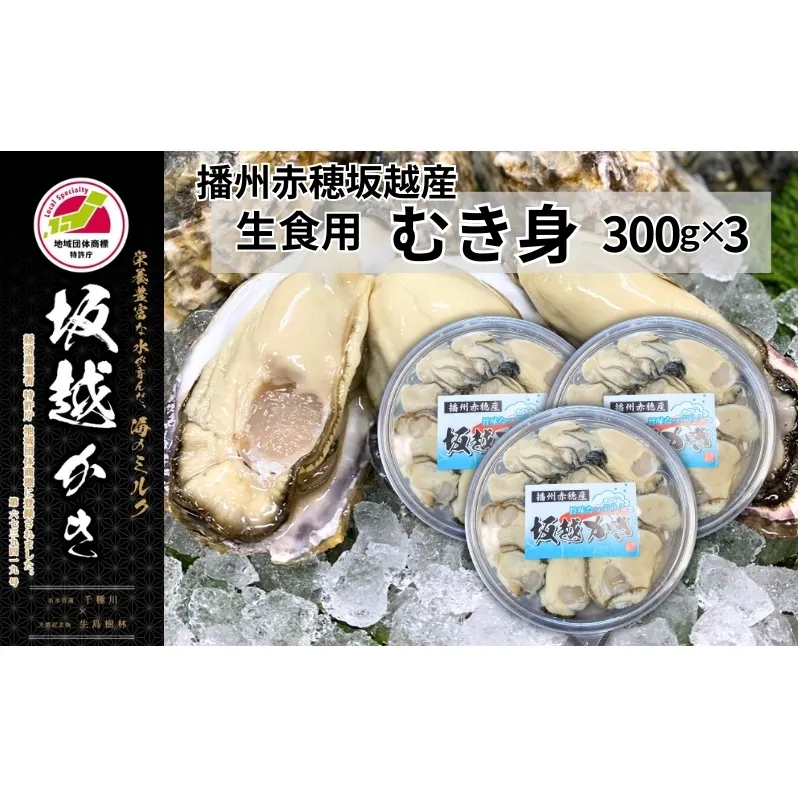 牡蠣 坂越かき 生食用 むき身 300g×3個 (計900g)[ 生牡蠣 冬牡蠣 かき カキ 真牡蠣 ]