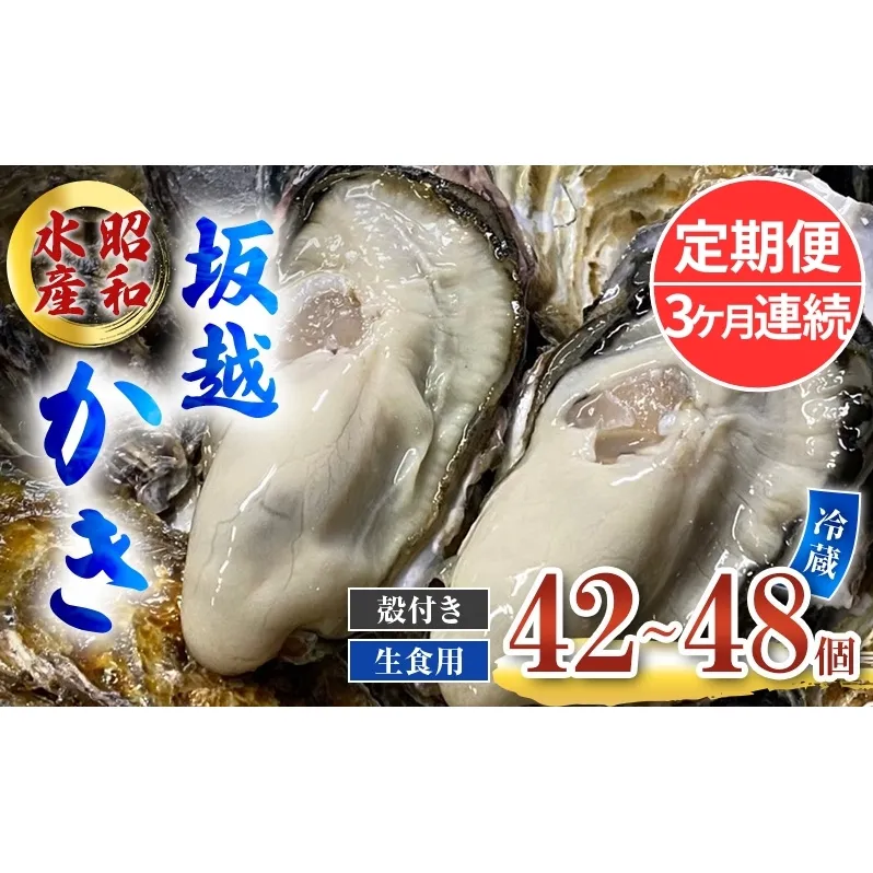 定期便 牡蠣 生食用 坂越かき 殻付き 42～48個《3ヶ月連続お届け》 昭和水産 [ 生牡蠣 真牡蠣 かき カキ 冬牡蠣 ]