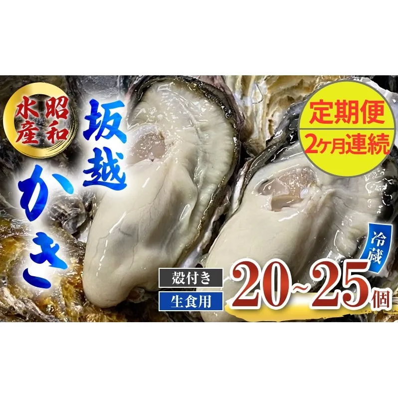 定期便 牡蠣 生食用 坂越かき 殻付き 20～25個《2ヶ月連続お届け》 昭和水産 [ 生牡蠣 真牡蠣 かき カキ 冬牡蠣 ]