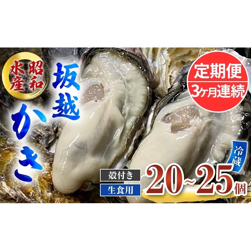 定期便 牡蠣 生食用 坂越かき 殻付き 20～25個《3ヶ月連続お届け》 昭和水産 [ 生牡蠣 真牡蠣 かき カキ 冬牡蠣 ]