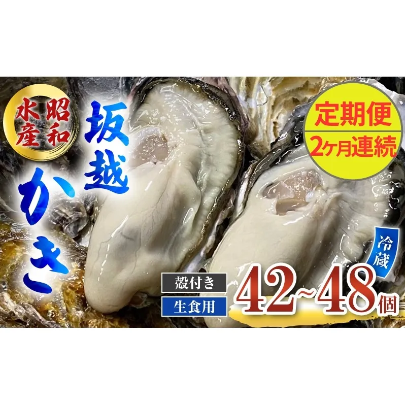 定期便 牡蠣 生食用 坂越かき 殻付き 42～48個《2ヶ月連続お届け》 昭和水産 [ 生牡蠣 真牡蠣 かき カキ 冬牡蠣 ]