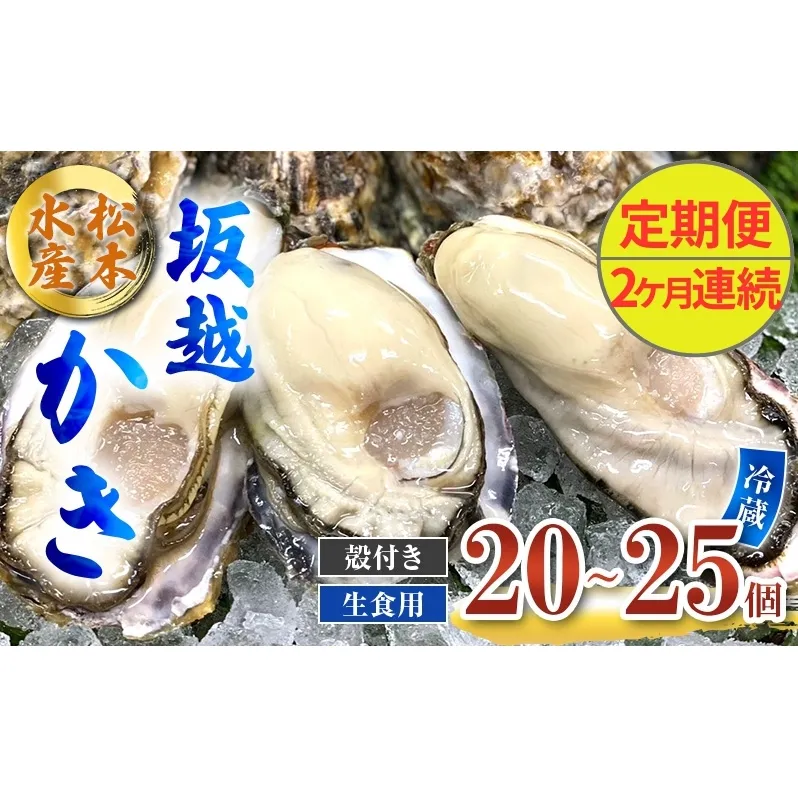 定期便 牡蠣 生食用 坂越かき 殻付き 20～25個《2ヶ月連続お届け》 松本水産 [ 生牡蠣 真牡蠣 かき カキ 冬牡蠣 ]