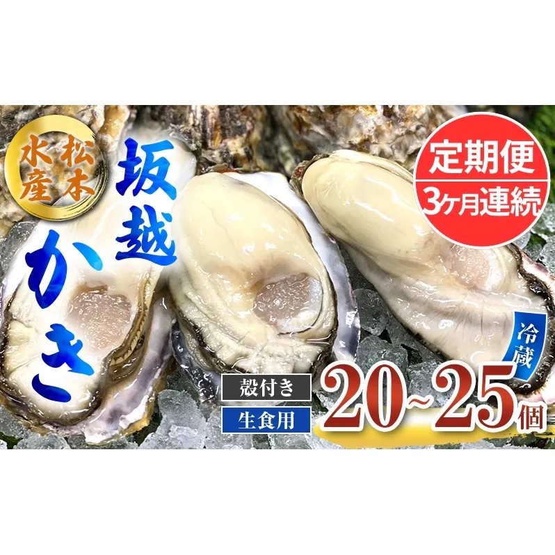 定期便 牡蠣 生食用 坂越かき 殻付き 20～25個《3ヶ月連続お届け》 松本水産 [ 生牡蠣 真牡蠣 かき カキ 冬牡蠣 ]