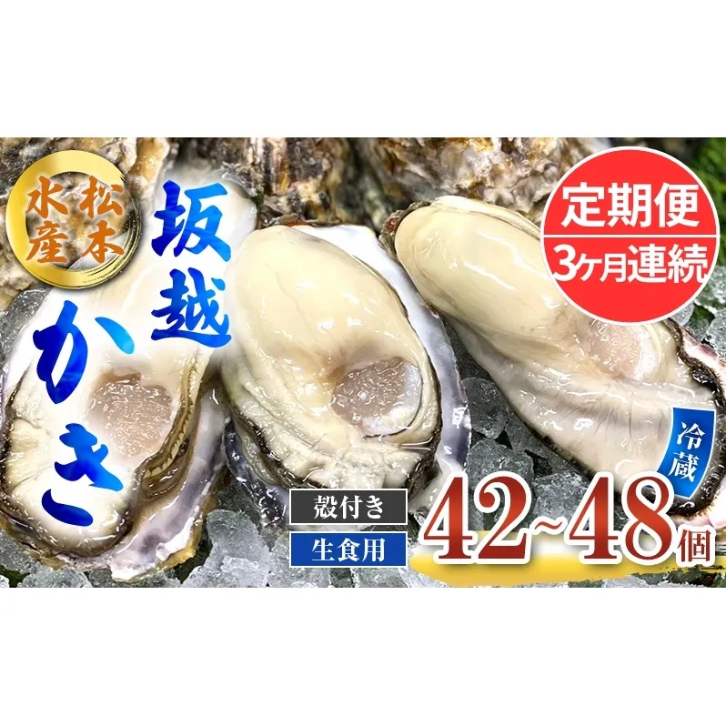 定期便 牡蠣 生食用 坂越かき 殻付き 42～48個《3ヶ月連続お届け》 松本水産 [ 生牡蠣 真牡蠣 かき カキ 冬牡蠣 ]