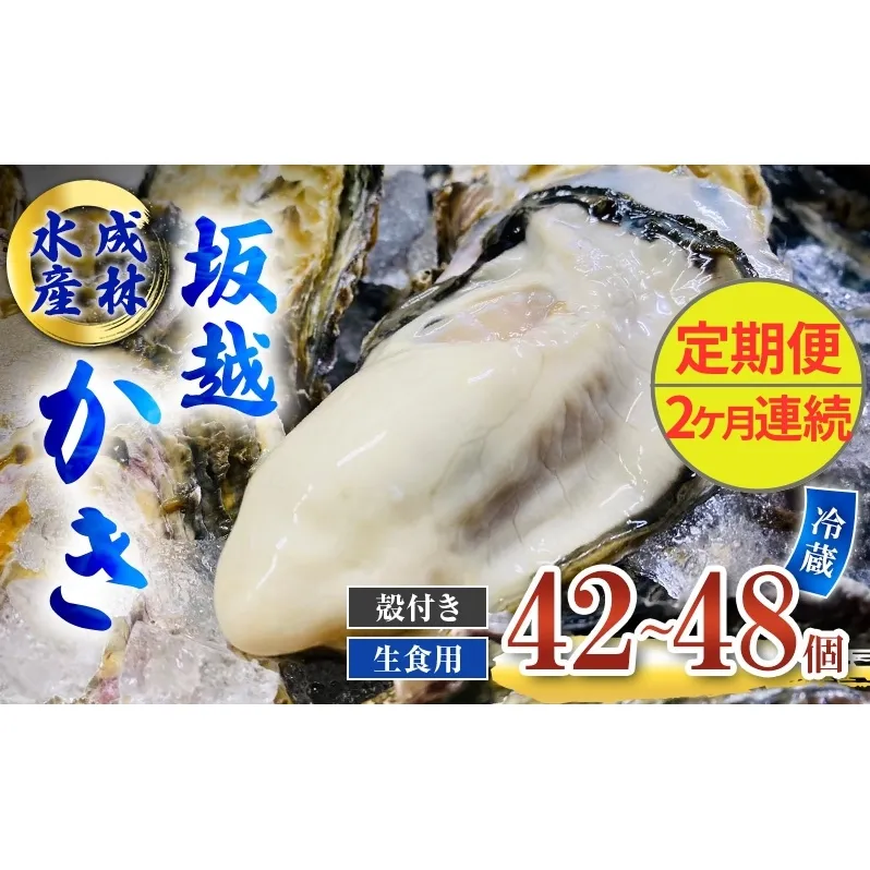 定期便 牡蠣 生食用 坂越かき 殻付き 42～48個《2ヶ月連続お届け》 成林水産 [ 生牡蠣 真牡蠣 かき カキ 冬牡蠣 ]