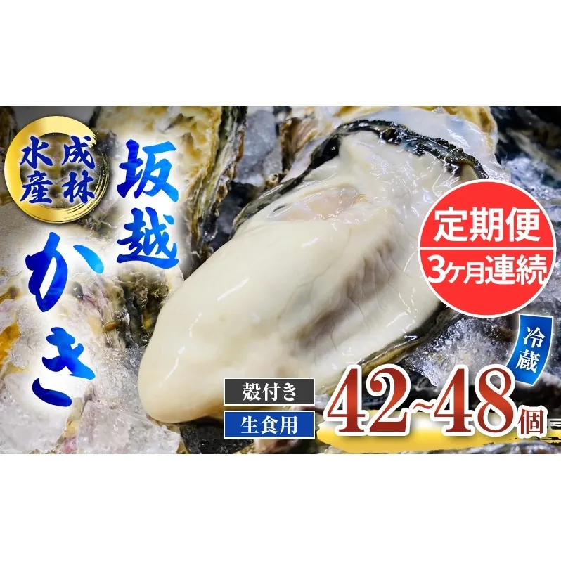 定期便 牡蠣 生食用 坂越かき 殻付き 42～48個《3ヶ月連続お届け》 成林水産 [ 生牡蠣 真牡蠣 かき カキ 冬牡蠣 ]