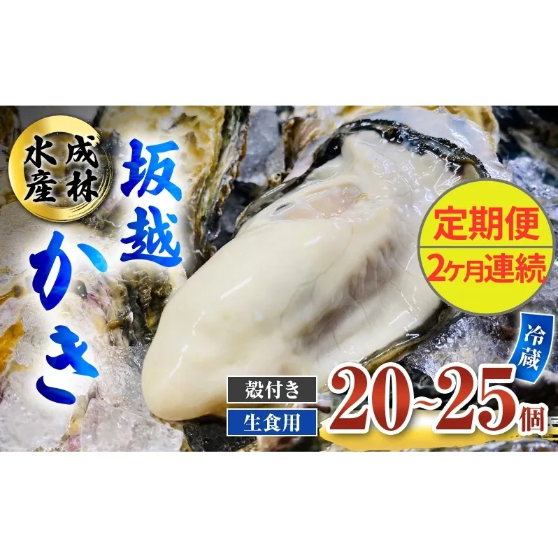 定期便 牡蠣 生食用 坂越かき 殻付き 20～25個《2ヶ月連続お届け》 成林水産 [ 生牡蠣 真牡蠣 かき カキ 冬牡蠣 ]