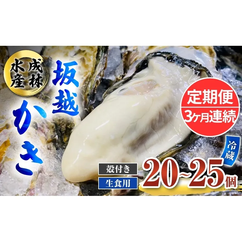 定期便 牡蠣 生食用 坂越かき 殻付き 20～25個《3ヶ月連続お届け》 成林水産 [ 生牡蠣 真牡蠣 かき カキ 冬牡蠣 ]