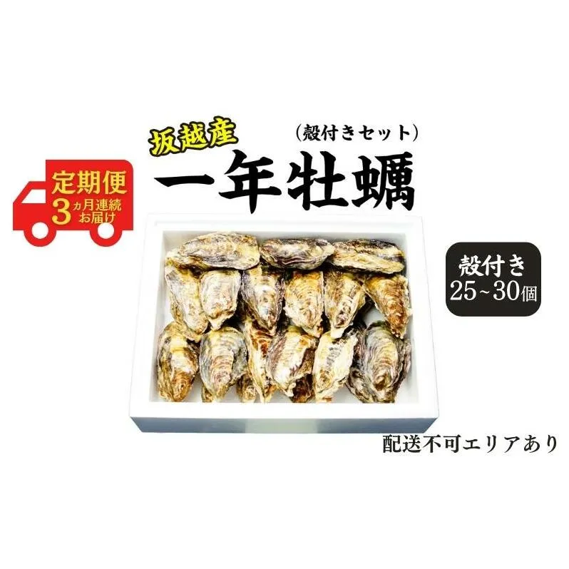  定期便 牡蠣 坂越かき 生食用 殻付き (25個～30個)牡蠣ナイフ付き【12月～2月(3ヶ月連続)お届け】 冬牡蠣 かき カキ