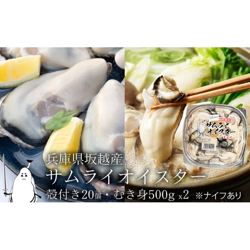 牡蠣 生食 坂越かき むき身 500g×2、 殻付き 20個(牡蠣ナイフ・軍手付き)サムライオイスター 生牡蠣 冬牡蠣