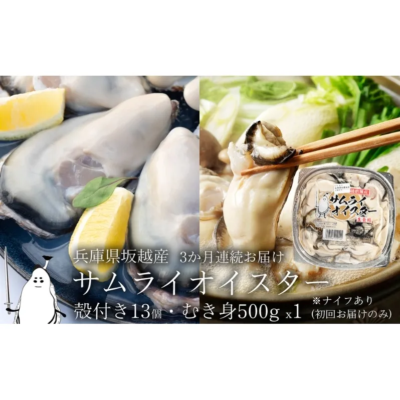 牡蠣 定期便 生食 坂越かき むき身 500g×1、 殻付き 13個(牡蠣ナイフ・軍手付き)3ヵ月連続お届け 生牡蠣 冬牡蠣