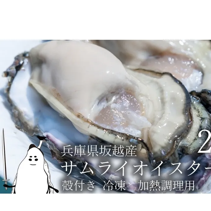 牡蠣 坂越かき 【冷凍】 殻付き 20個(加熱用)サムライオイスター 冬牡蠣