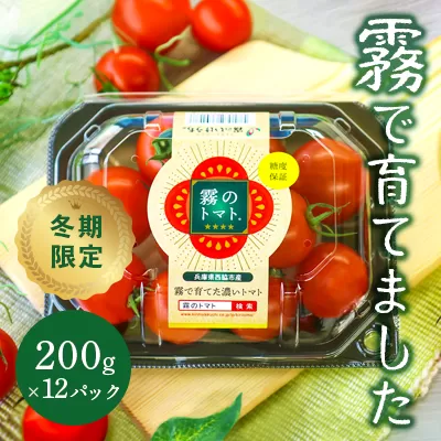 11月末～12月発送予約【霧で育てた濃厚な味】霧のトマト 200ｇ×12パック