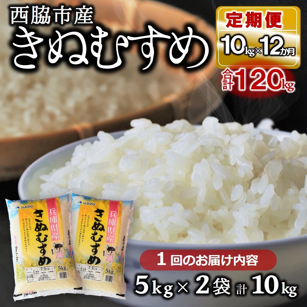 ブランド米 きぬむすめ 定期便！12ヵ月連続お届け！】合計120kg（精米5kg×2袋12か月）（154-4）｜西脇市｜兵庫県｜返礼品をさがす｜まいふる  by AEON CARD