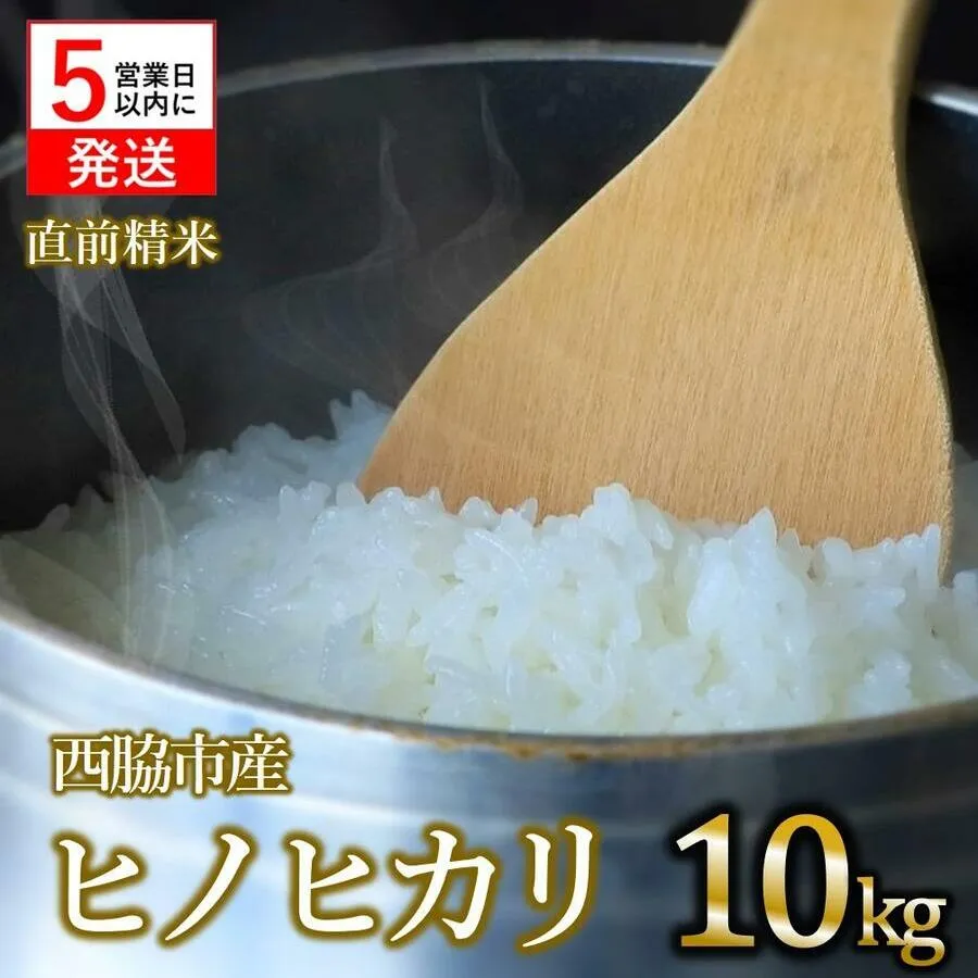 【先行予約】令和６年産 新米 ヒノヒカリ 白米10kg（10kg×1袋）【11月上旬以降順次発送】(15-62)