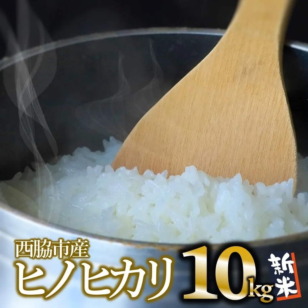 令和6年産 新米 ヒノヒカリ 白米10kg(10kg×1袋)[10月下旬以降順次発送](17-52)